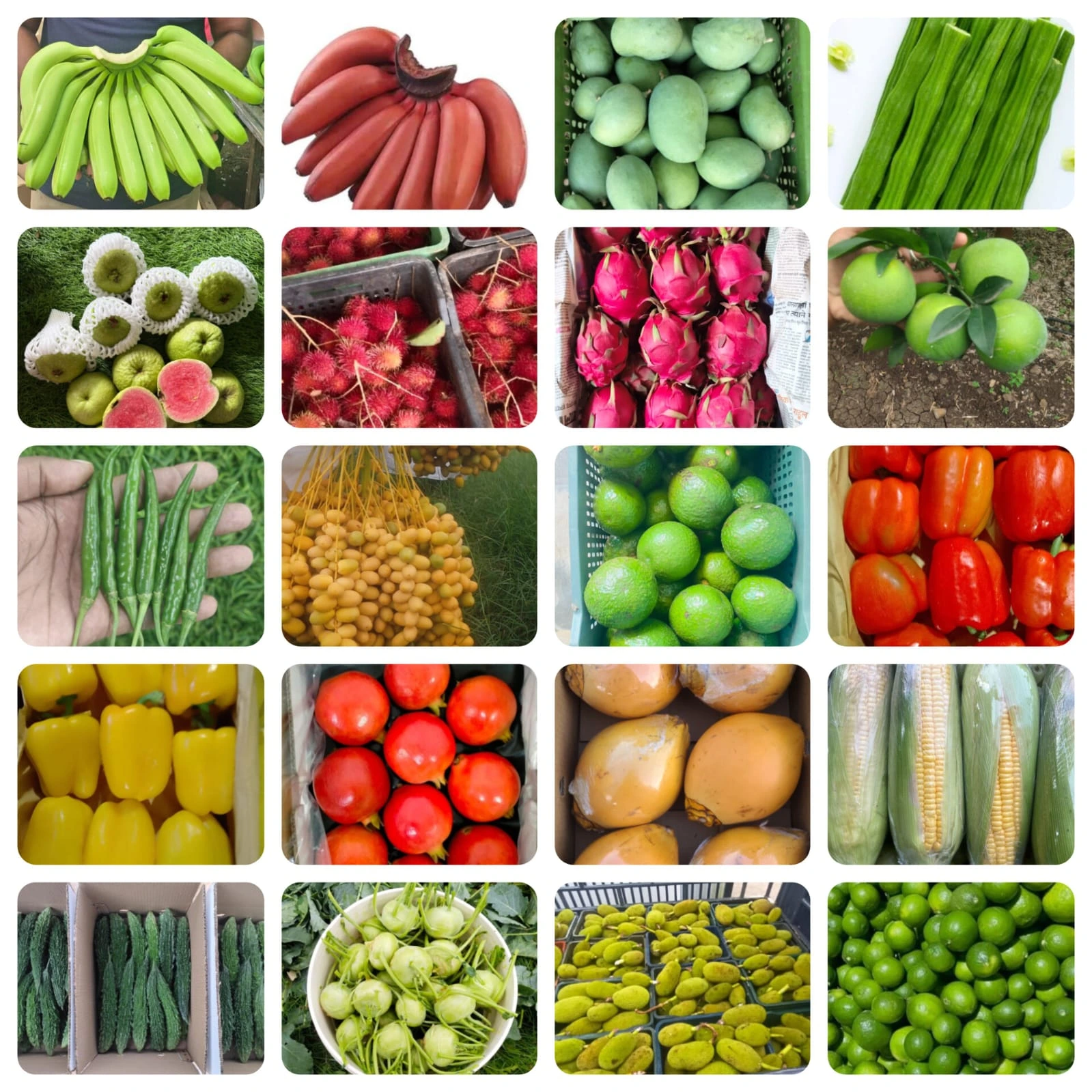 International Shipping Port