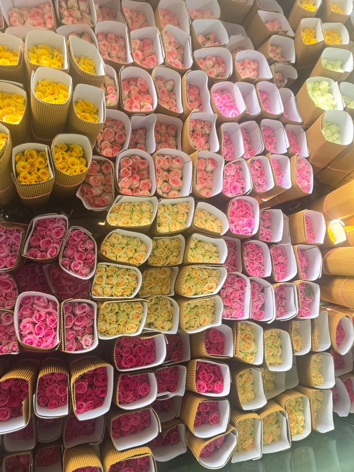 Sustainable Sourcing