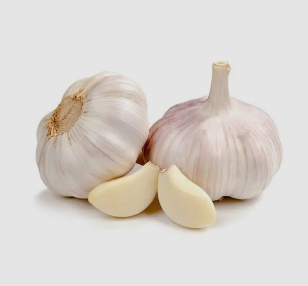 Fresh Garlic
